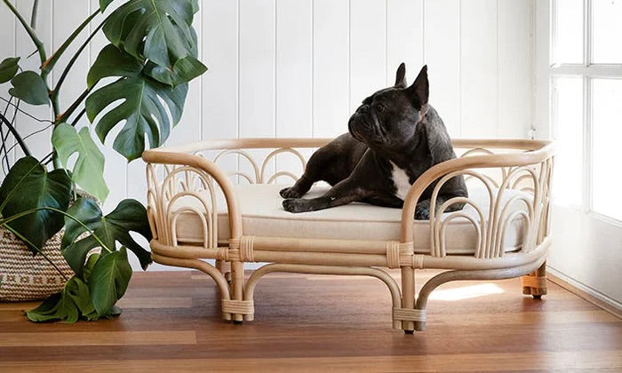Why Every Pet Needs a Rattan Bed for Ultimate Relaxation and Style