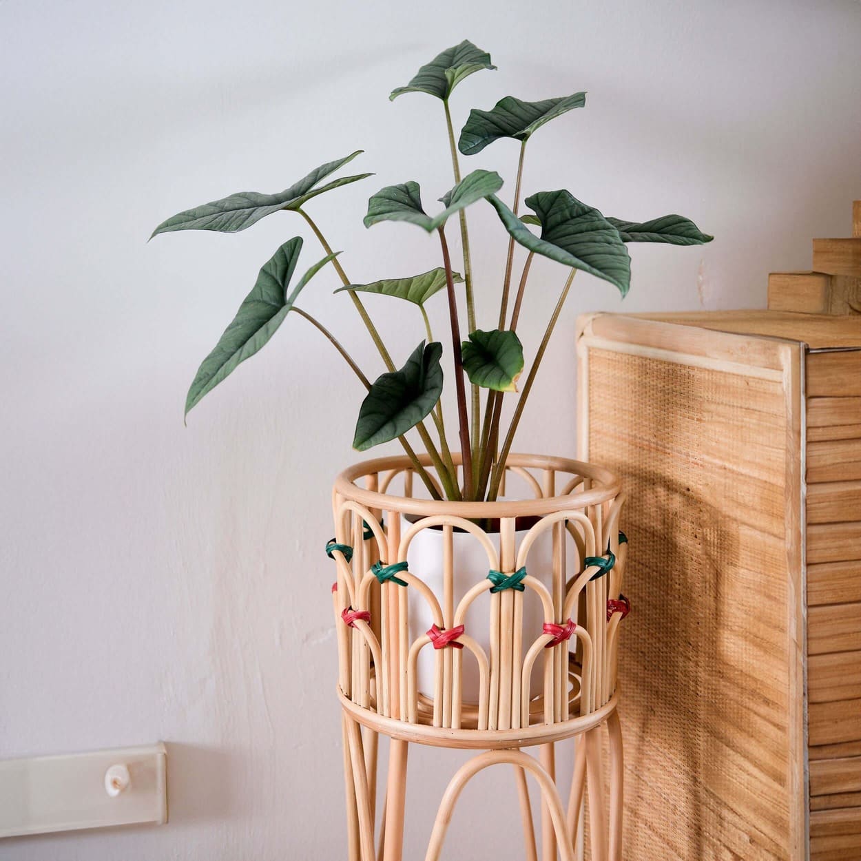Close-up of the top detail of the Iris Planter by MOMIJI with a potted plant.