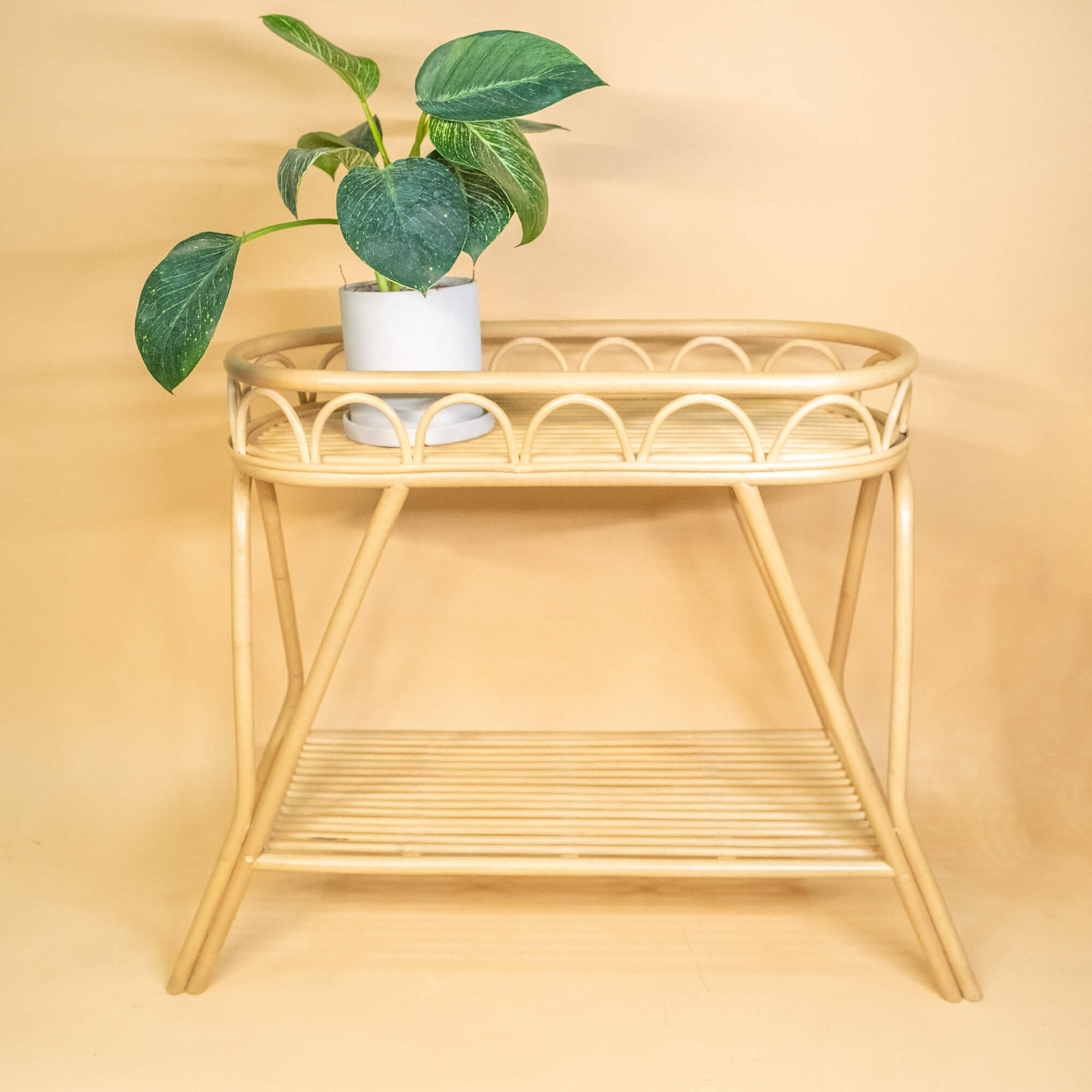 Front view of the Sage Wicker Plant Stand by MOMIJI with a potted plant on top.