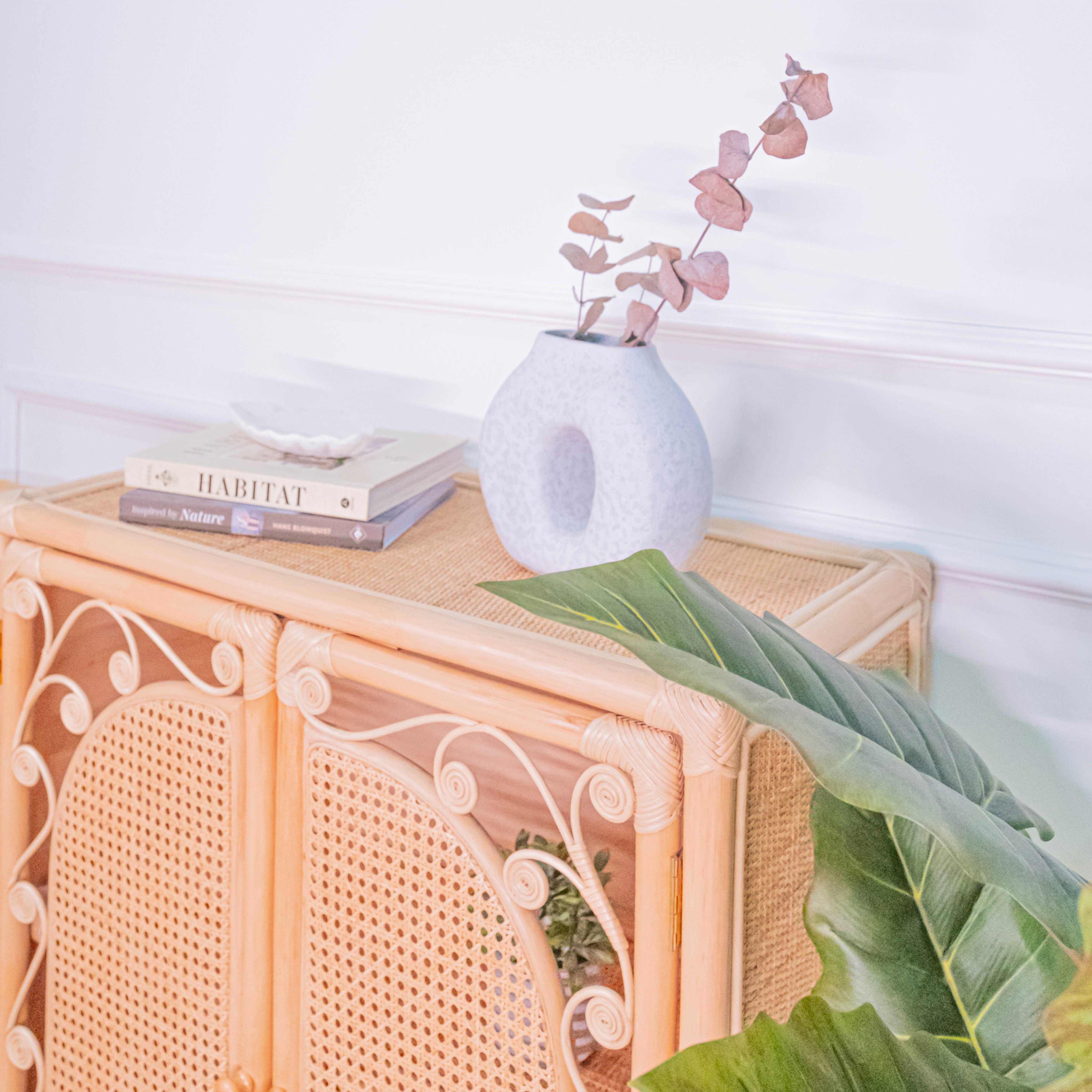 Rattan Cabinet | Fern Storage Cabinet | Front and Top View | Momiji