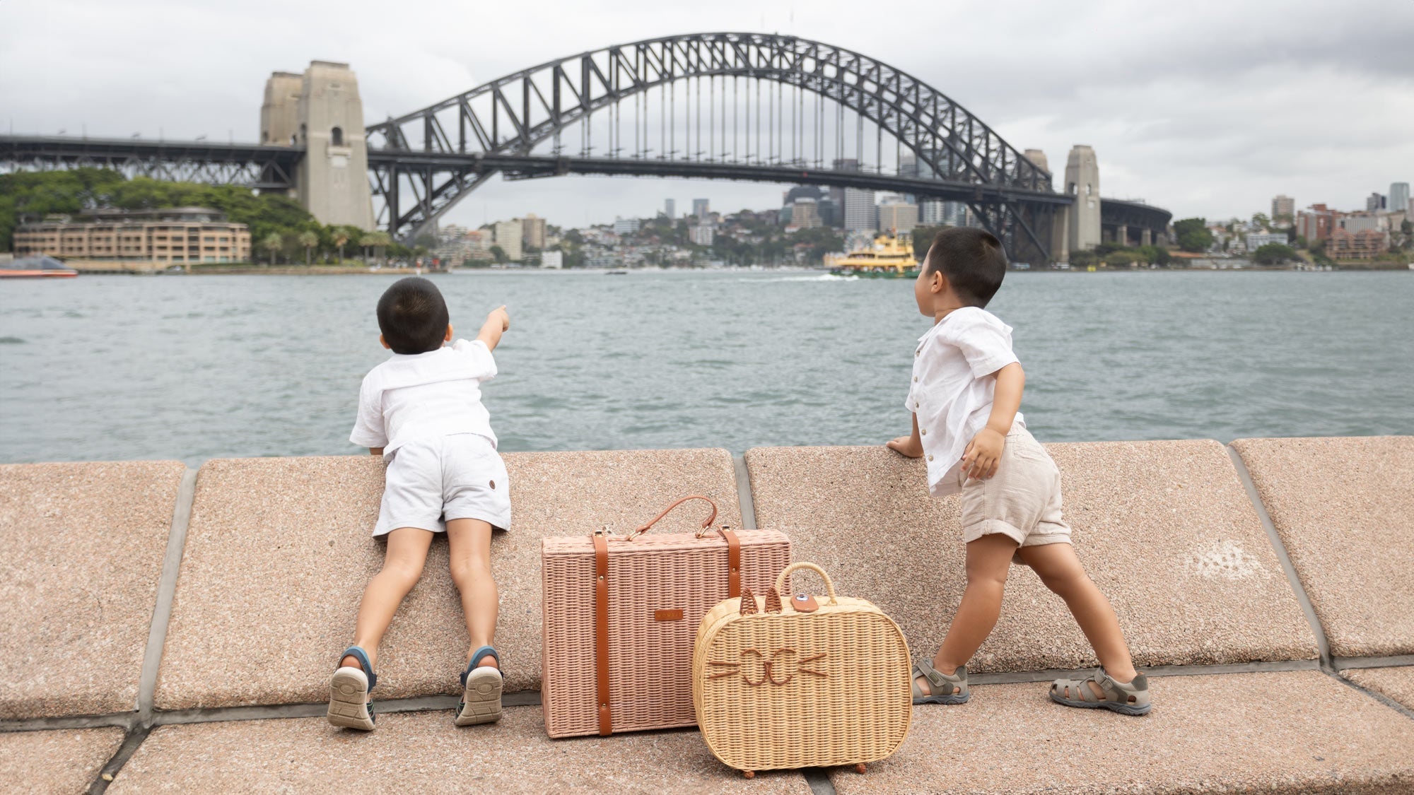 The Ultimate Travel Companion: Why Every Child Needs a Kids Rattan Suitcase