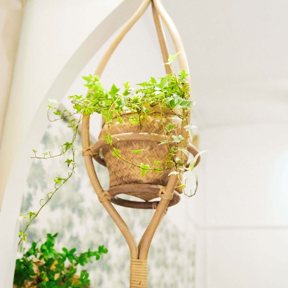 Lower view of the Almond Hanging Planter by MOMIJI highlighting the basket area holding a plant pot.