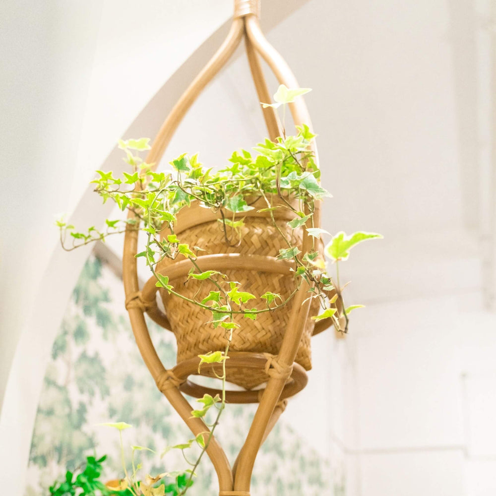 Upper view of the Almond Hanging Planter by MOMIJI hanging on the wall with a potted plant.