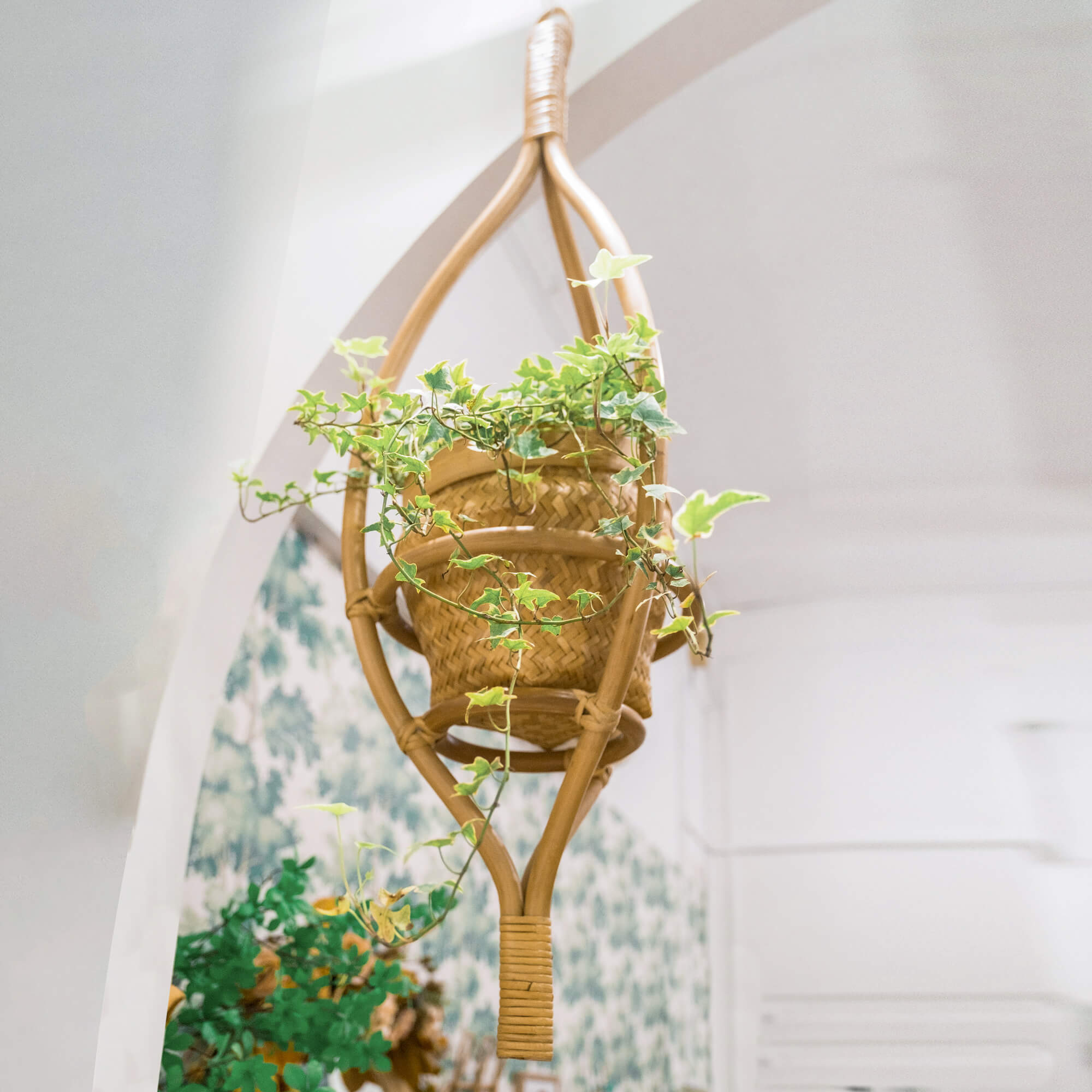 Almond Hanging Planter by MOMIJI mounted on a wall with a potted plant, suitable for indoor or outdoor use.