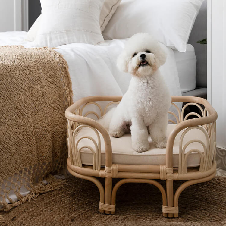 White dog on the Amber Pet Bed by MOMIJI in a bedroom.