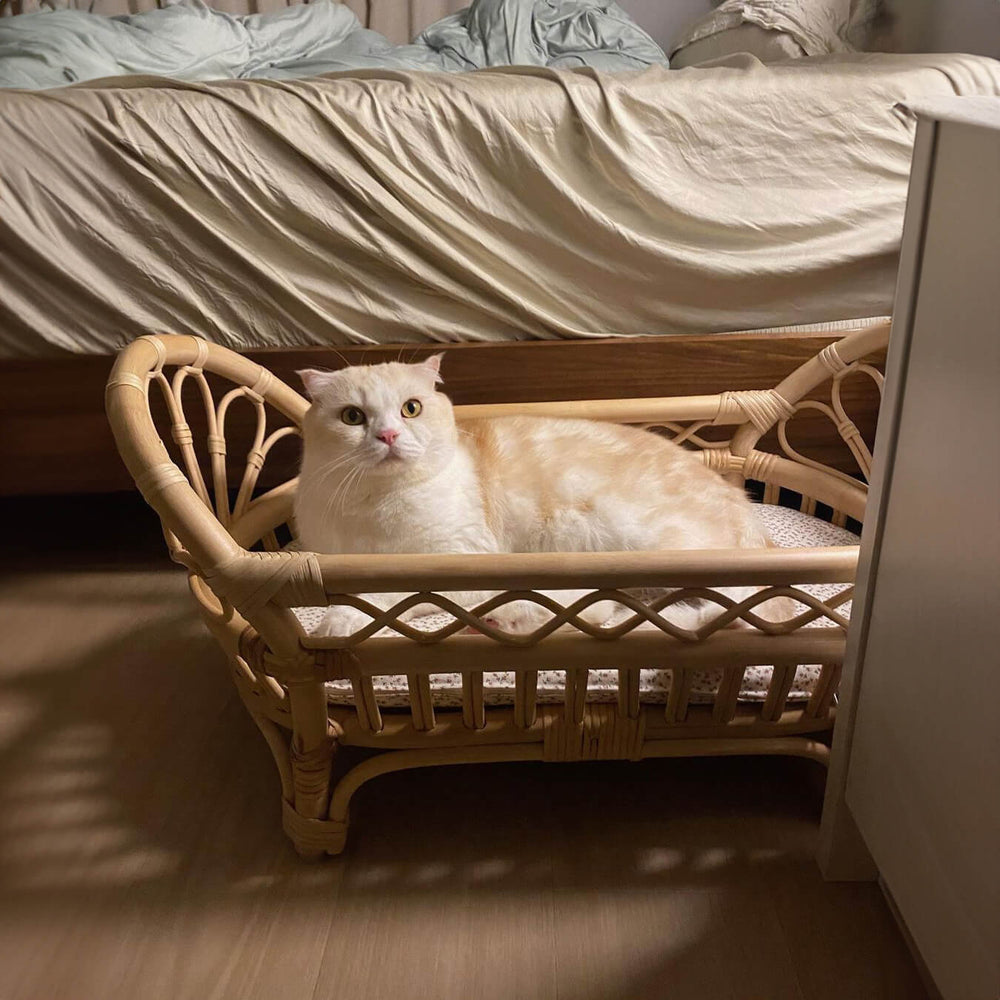 A cat resting on the Arya Doll Bed by MOMIJI in a bedroom, styled as a small rattan pet bed.