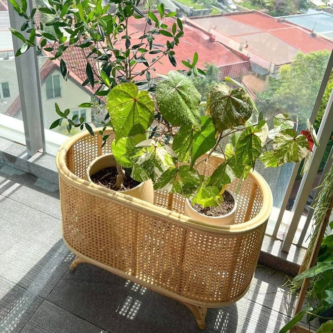 Isle Wicker Plant Stand by MOMIJI holding potted plants on a balcony.