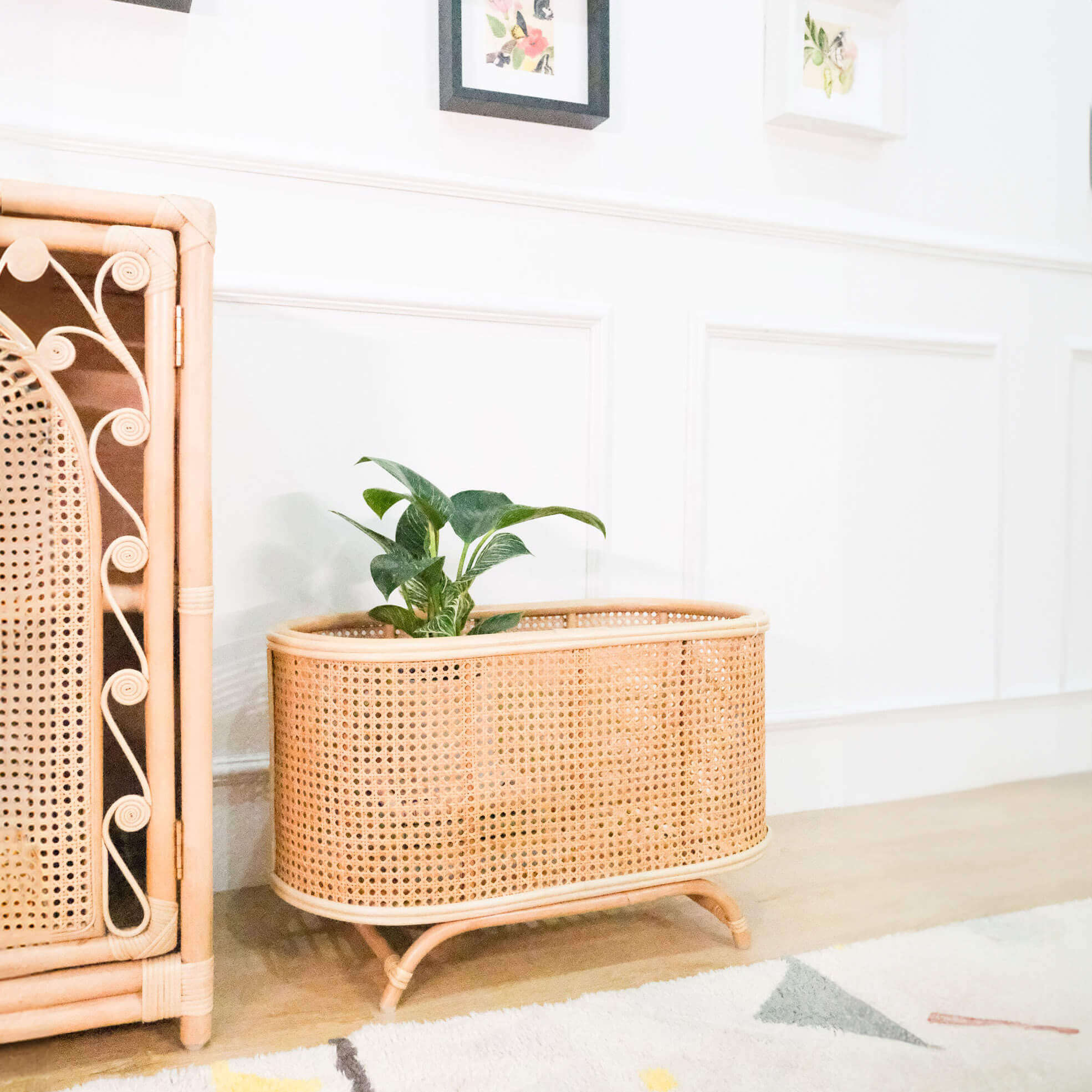 Isle Wicker Plant Stand by MOMIJI placed indoors beside a cabinet.