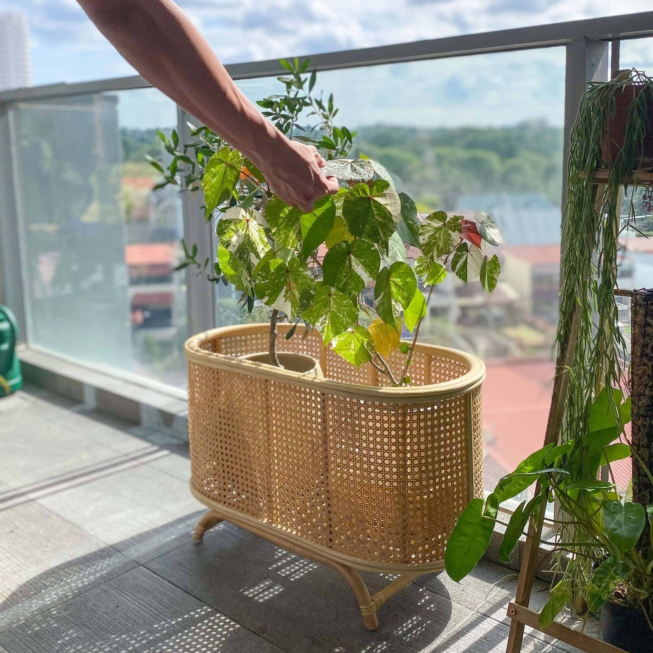 Person holding a potted plant beside the Isle Wicker Plant Stand by MOMIJI on a balcony with trees and buildings in the background.