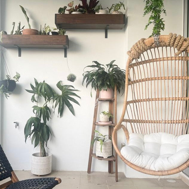 Nest Hanging Chair by MOMIJI with a white cushion styled outdoors with lush plants.