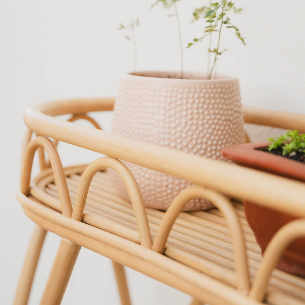 Front close-up of the woven structure of the Sage Wicker Plant Stand by MOMIJI with a plant displayed above.