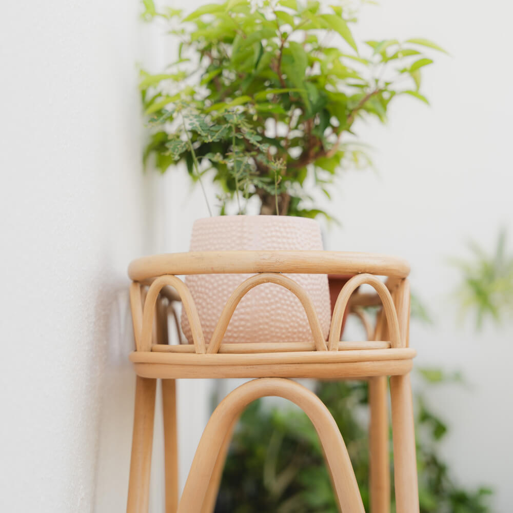 Side view of the Sage Wicker Plant Stand by MOMIJI placed in a garden setting with plants on the top tray.