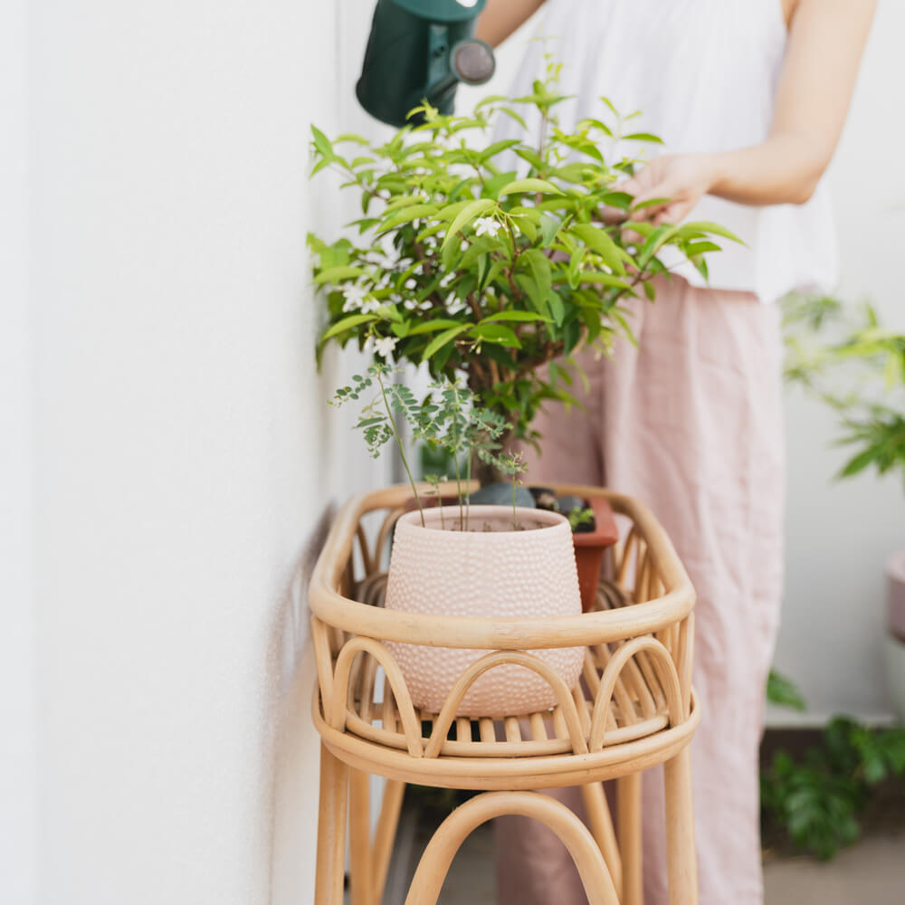 Side view of a woman watering plants placed on the Sage Wicker Plant Stand by MOMIJI.