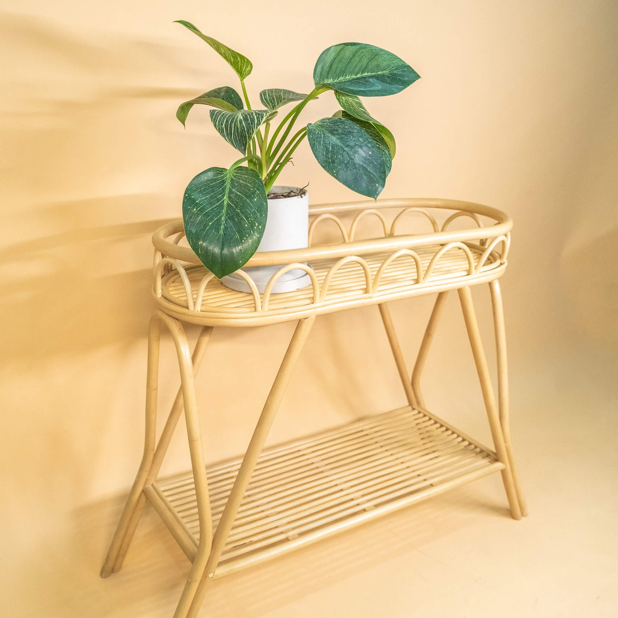 Side view of the Sage Wicker Plant Stand by MOMIJI with a plant displayed on the upper tray.