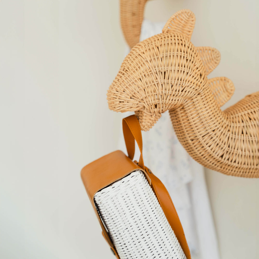 Dinosaur Rattan Wall Decor | Animal Head Wall Art | MOMIJI